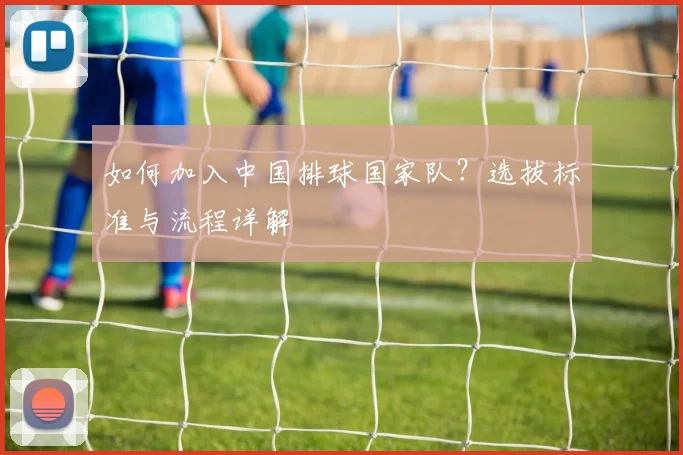 如何加入中国排球国家队？选拔标准与流程详解