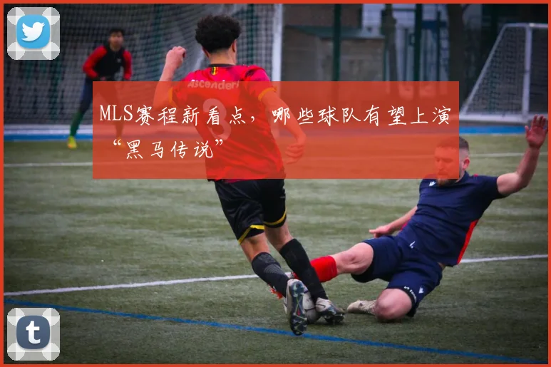 MLS赛程新看点，哪些球队有望上演“黑马传说”